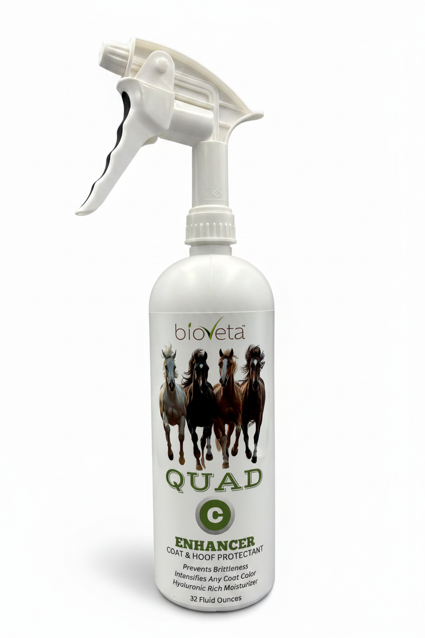 Bioveta QUAD Equine Health "C" ENHANCER